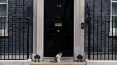 Fake 10 Downing Street listing exposes 'unfit' Booking.com, says consumer group
