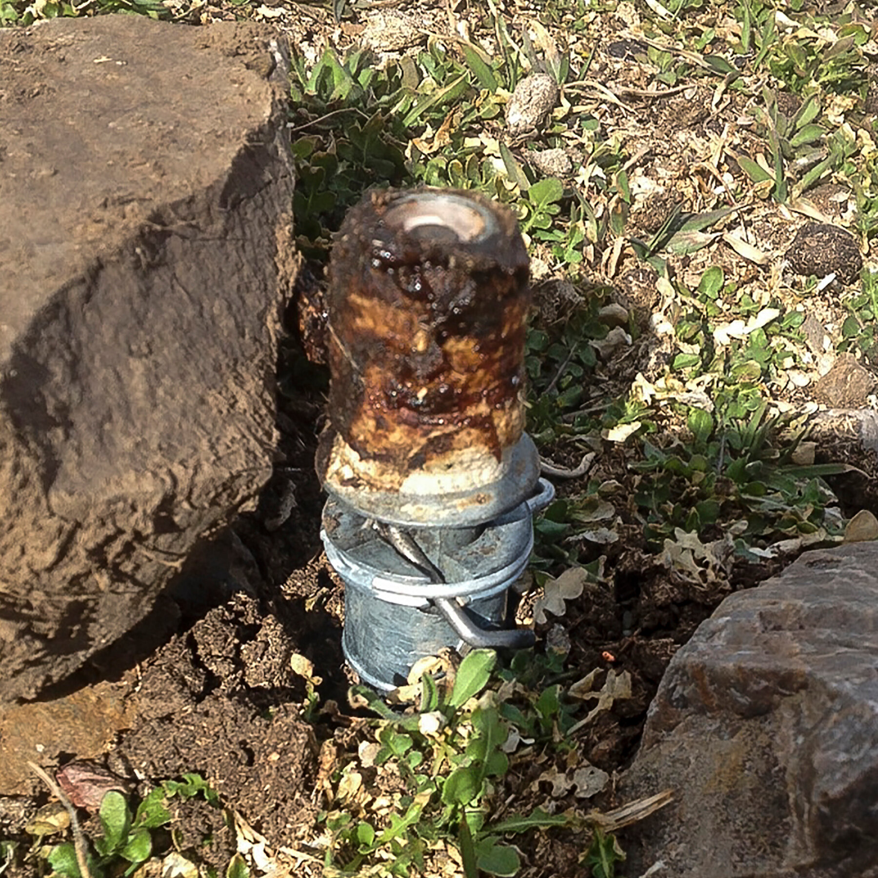 Trump Administration Lifts Ban on ‘Cyanide Bombs’ on Public Lands