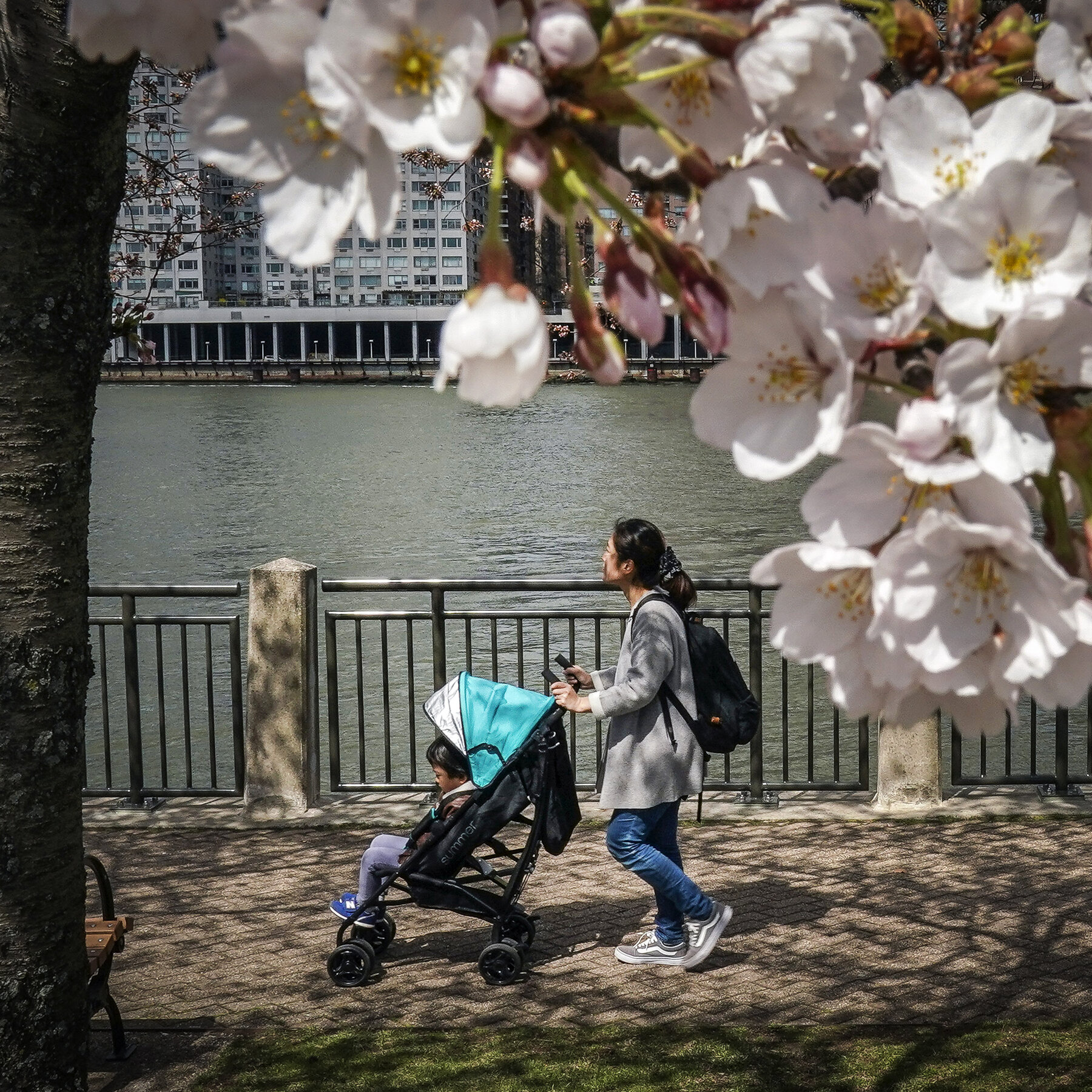Cleaner Air, Smarter Toddlers